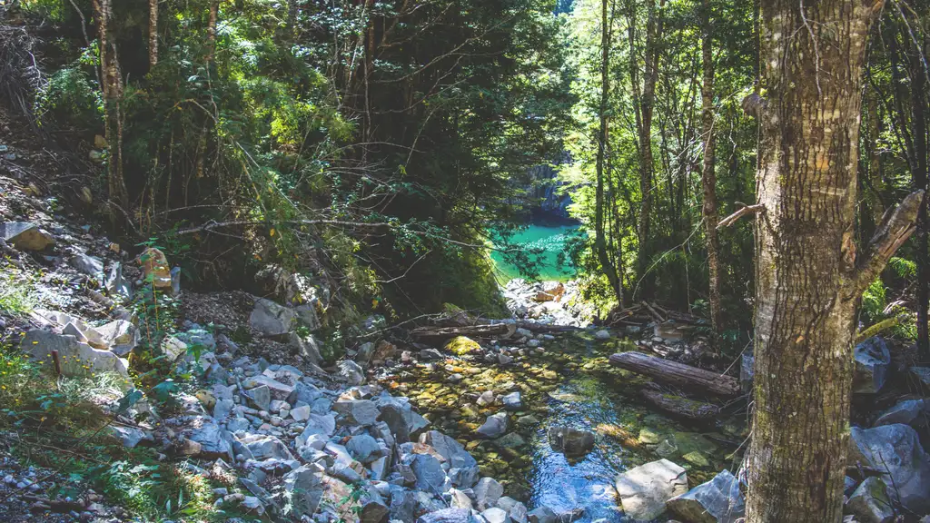 Terreno en Venta Carretera Austral