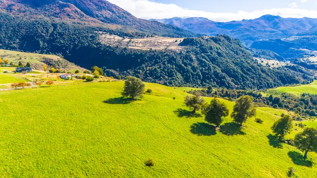 Terreno Panguilemu - Coyhaique - Parcela en Coyhaique - foto 2
