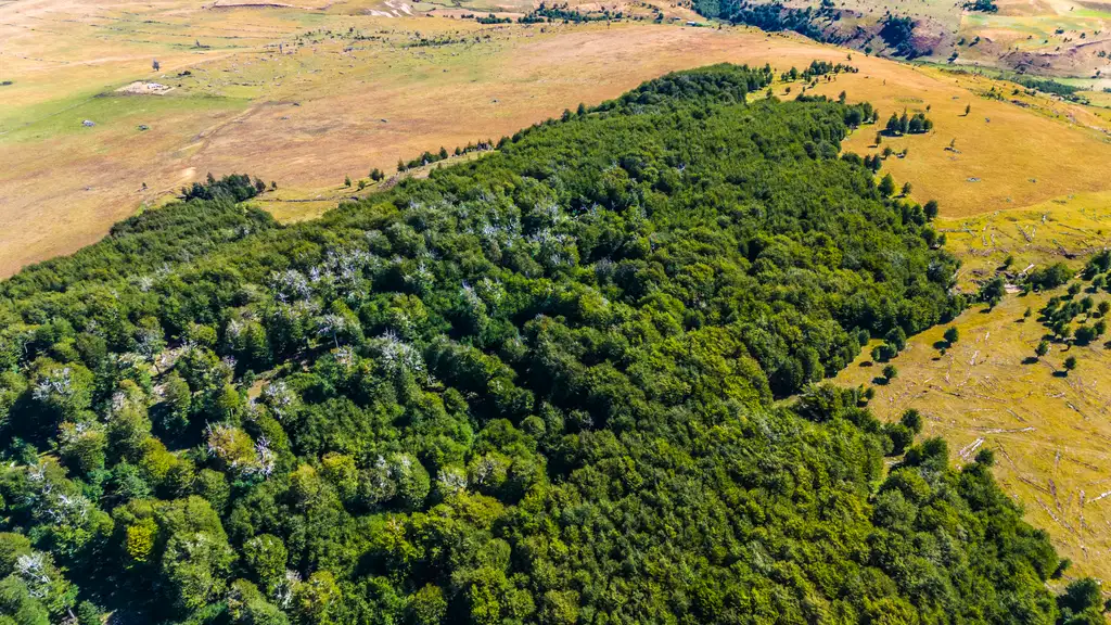 Proyecto El Salto Alto - Loteos en Coyhaique - foto 3