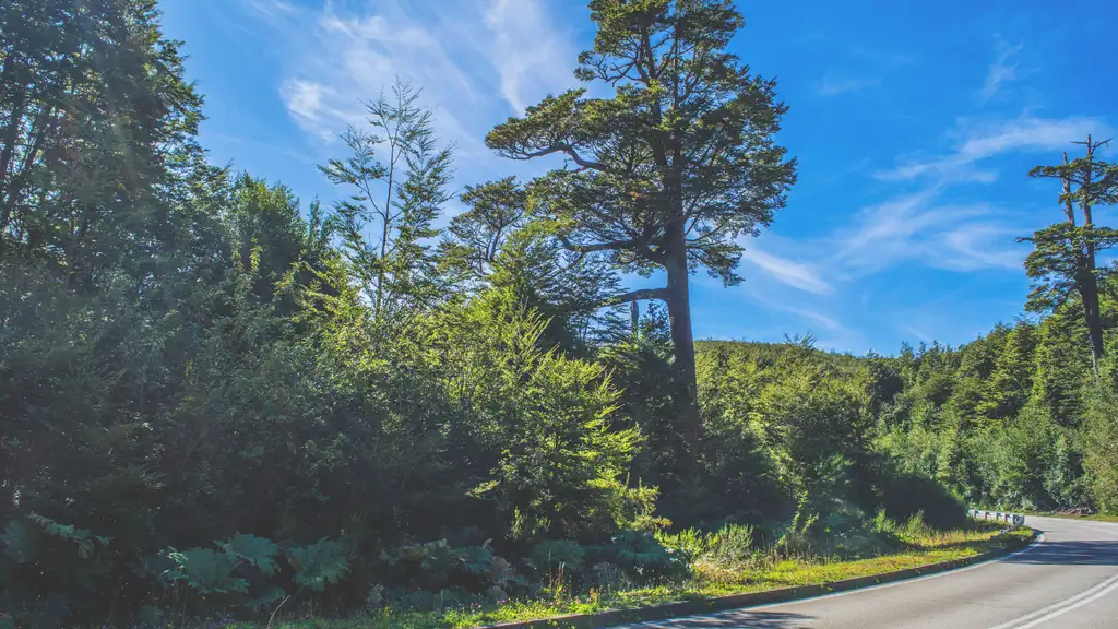 Terreno Carretera Austral