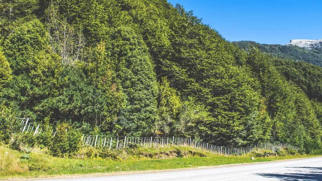 Terreno en Venta Carretera Austral