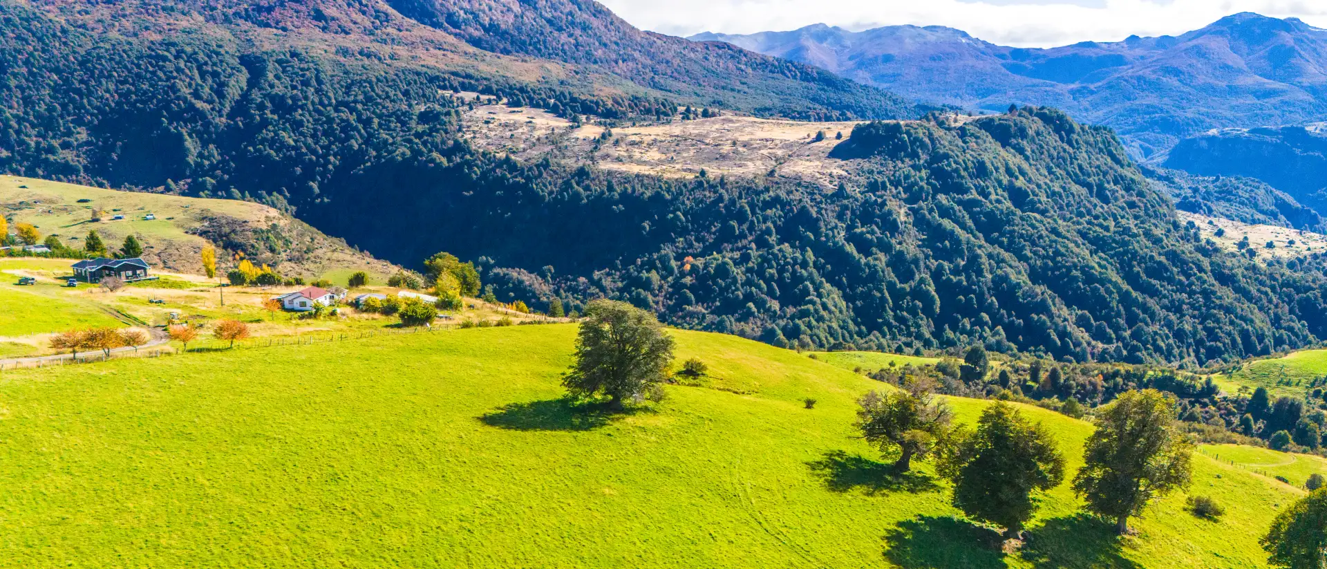 Parcela Fundo Panguilemu